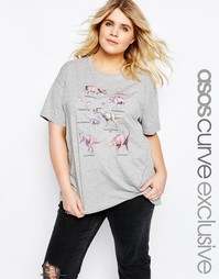 Футболка с динозаврами ASOS CURVE - Серый