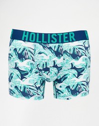 Классические боксеры‑брифы с принтом Hollister - Синий