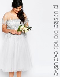 Кружевное платье миди Chi Chi London Plus - Серый