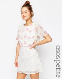 Платье мини с укороченным лифом и 3D вышивкой ASOS PETITE SALON