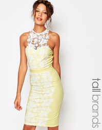Платье-футляр с кружевными вставками Paper Dolls Tall - Желтый