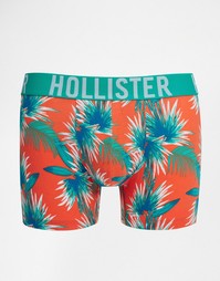 Классические боксеры‑брифы с принтом Hollister - Оранжевый