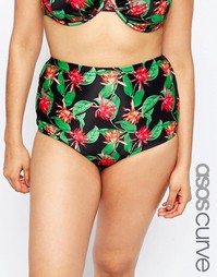 Трусики-бикини с высокой талией и принтом ASOS CURVE Dark Lotus