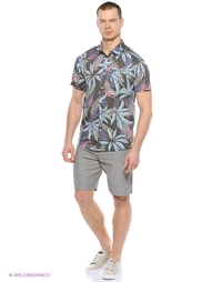 Шорты Quiksilver