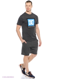 Футболка DC Shoes