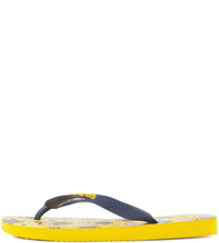 Сланцы Havaianas