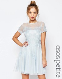 Короткое приталенное платье с кружевной аппликацией ASOS PETITE SALON