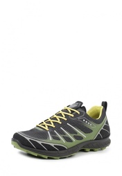 Кроссовки TRAIL ECCO