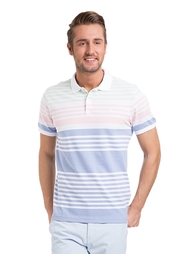 Поло U.S. Polo Assn.