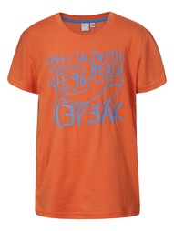 Футболка Icepeak