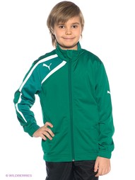 Толстовки Puma