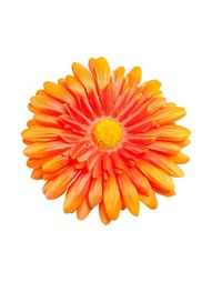 Заколки Kameo-bis