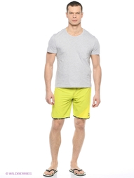 Шорты Quiksilver