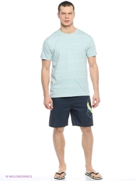 Шорты Quiksilver