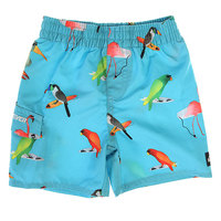 Шорты пляжные детские Quiksilver Pollybird Vl Lagoon