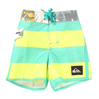 Шорты пляжные детские Quiksilver Every Day Brig 12 Everyday Brigg Pool