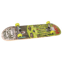 Скейтборд в сборе Shaun White Supply Co. Griffon Multi 31.5 x 8 (20.3 см)