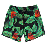 Шорты пляжные детские Quiksilver Glitchedvlyou15 Glitched Green Gecko