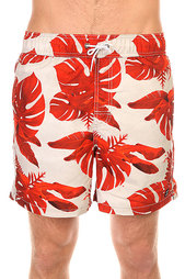 Шорты пляжные Billabong All Day Floral 16 Stone