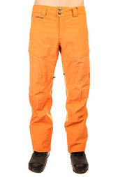 Штаны сноубордические Burton Ak 2l Swash Pt Lion