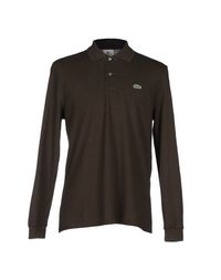 Поло Lacoste