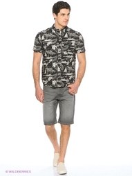 Рубашки DC Shoes