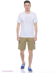 Шорты Quiksilver