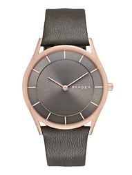 Часы SKAGEN