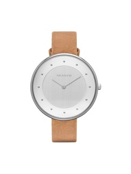 Часы SKAGEN