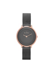 Часы SKAGEN
