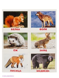 Настольные игры РНТойс