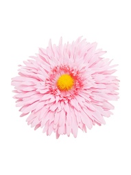 Заколки Kameo-bis