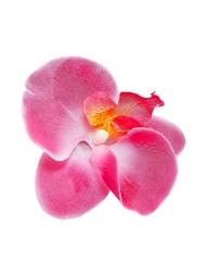 Заколки Kameo-bis