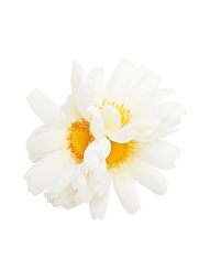 Заколки Kameo-bis