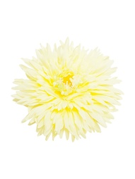 Заколки Kameo-bis