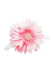 Заколки Kameo-bis