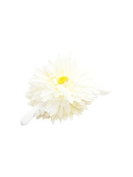 Заколки Kameo-bis