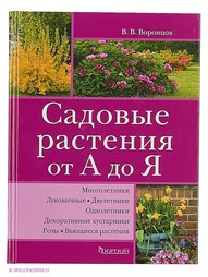 Книги Издательство Фитон XXI