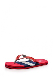 Сланцы Polo Ralph Lauren