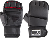 Шингарты Bax