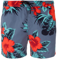 Шорты пляжные мужские Quiksilver