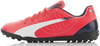 Бутсы мужские Puma evoSpeed 5.3 TT