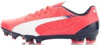 Бутсы мужские Puma evoSpeed 5.3 FG