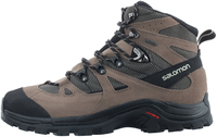 Ботинки мужские Salomon Discovery Gtx