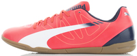 Бутсы мужские Puma evoSpeed 5.3 IT