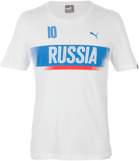 Футболка мужская Puma Euro Fan Tee