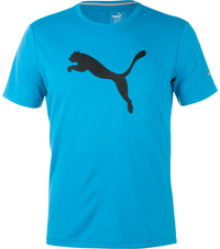 Футболка мужская Puma Essential