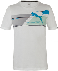Футболка мужская Puma Fun Dry Graphic Tee