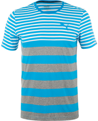 Футболка мужская Puma Fun Dry Stripe Tee