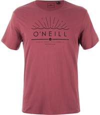 Футболка мужская O`Neill Lm Californian